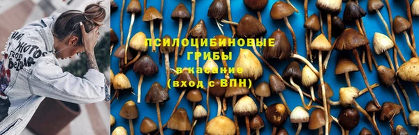 винт Алексеевка